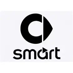 Smart