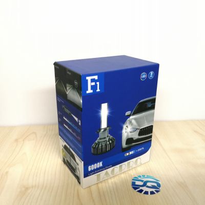 LED система с CANBUS H1 F1